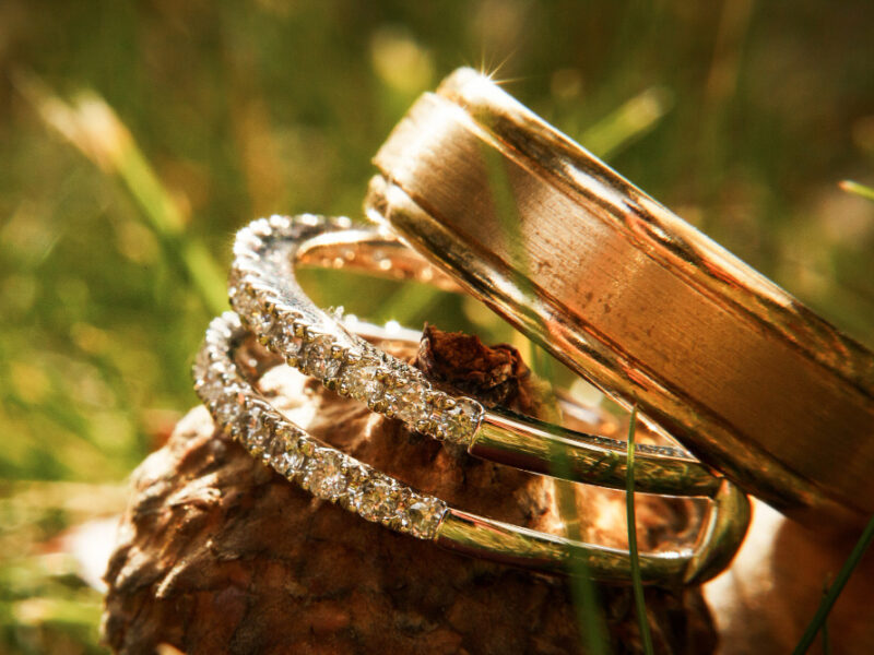 gorgeous-wedding-rings-sparklie-acorn
